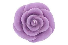 Rose lila