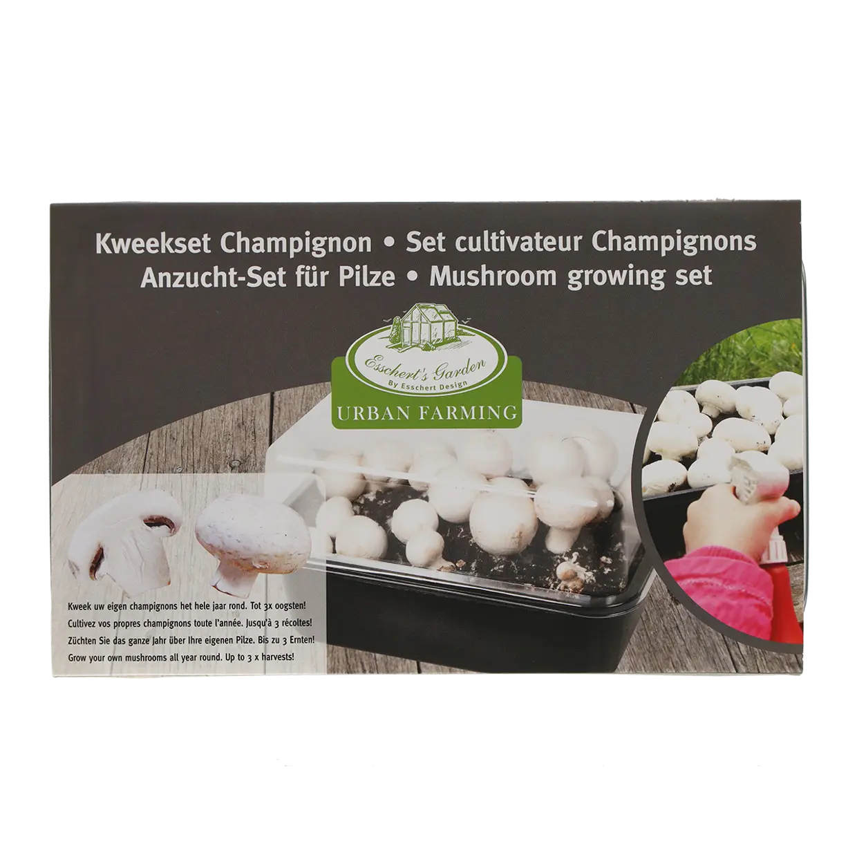 Mushroom Growing Kit