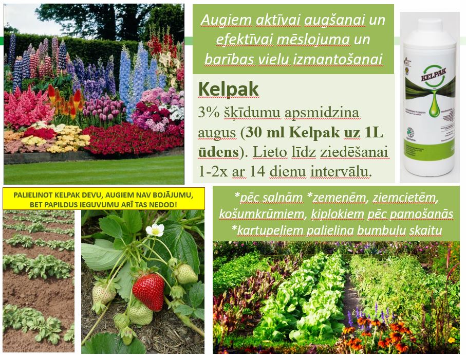 Mēslojums veicina augšanu un apsakņošanos Kelpak 125ml