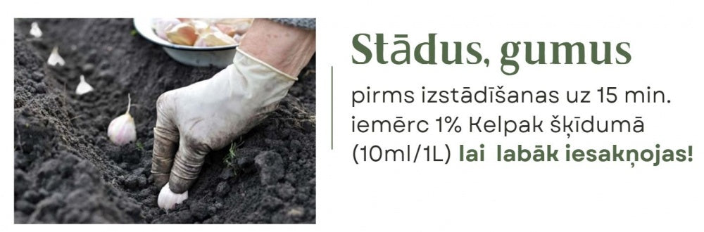 Mēslojums veicina augšanu un apsakņošanos Kelpak 125ml