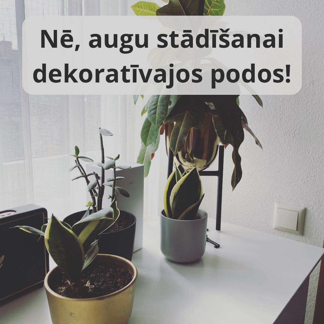 Nē, telpaugu stādīšanai dekoratīvajos podos! - www.augi-plants.lv