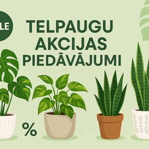 Akcijas piedāvājums