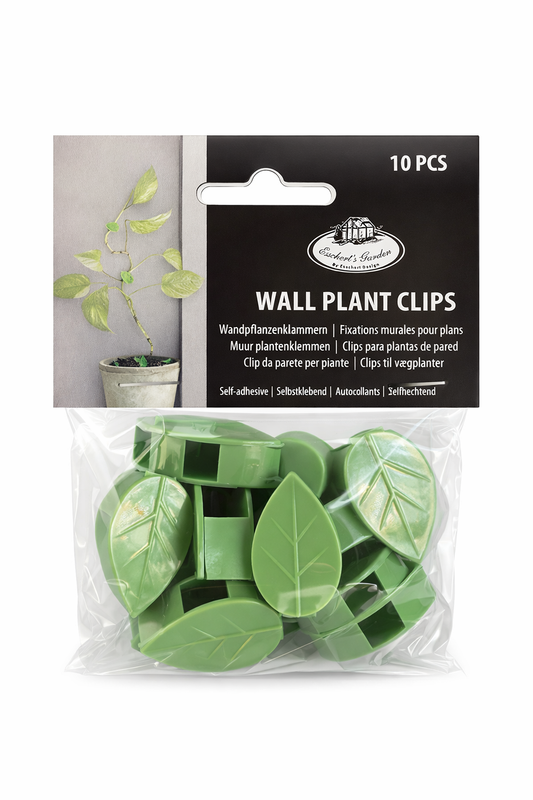 Plant fixation clips for the wall