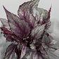 Begonia Beleaf 3