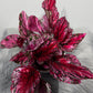 Begonia Beleaf 4