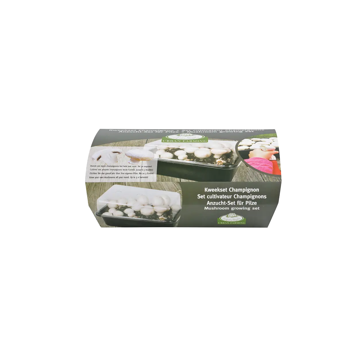 Sēņu Audzēšanas Komplekts