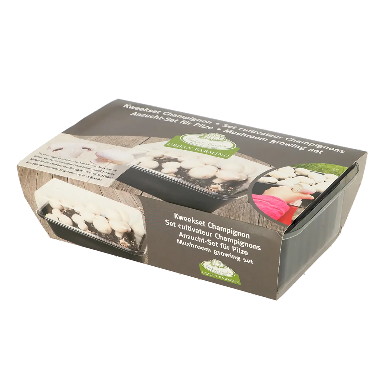 Sēņu Audzēšanas Komplekts