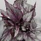 Begonia Beleaf 3