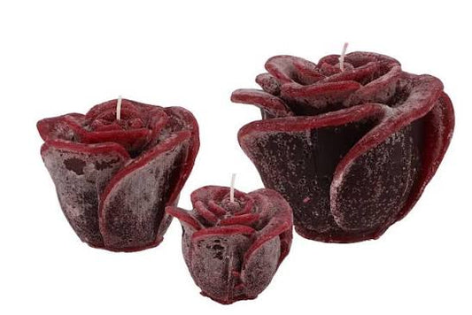 Sveces-Rose bordeaux