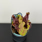 Sarracenia 3