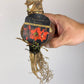 Hippeastrum Terra Cotta Star