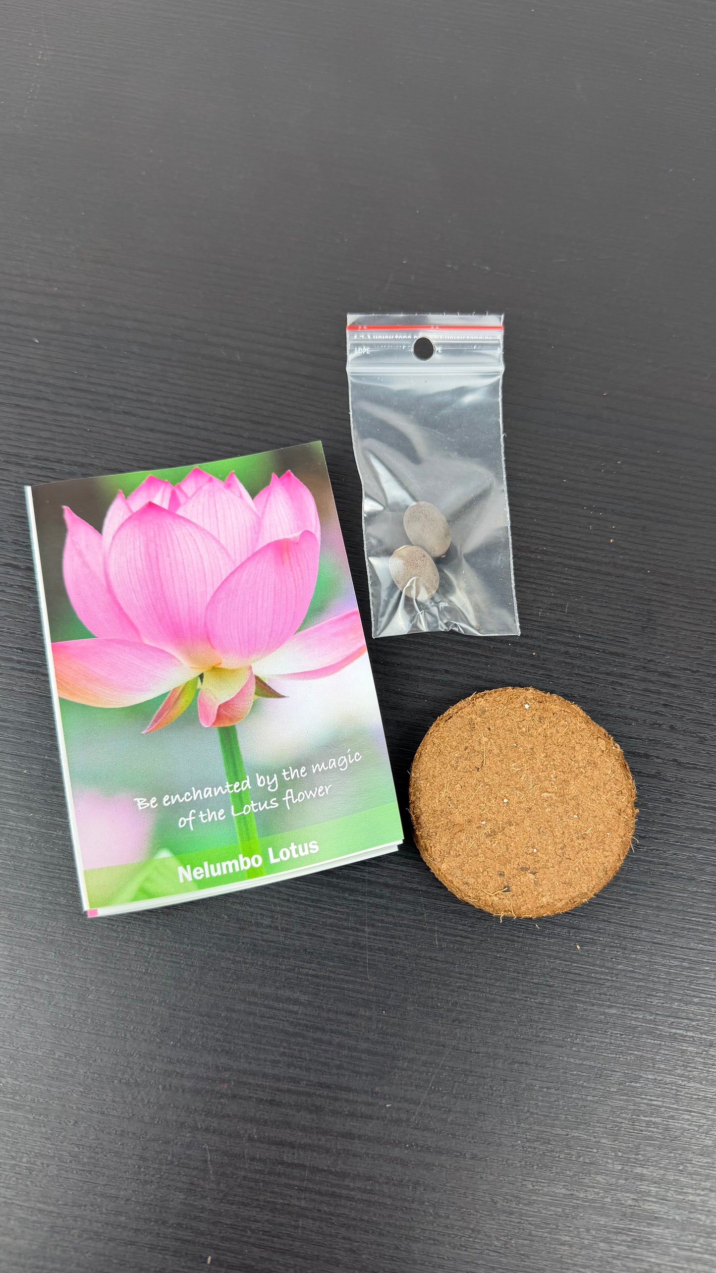Lotus Feng Shui