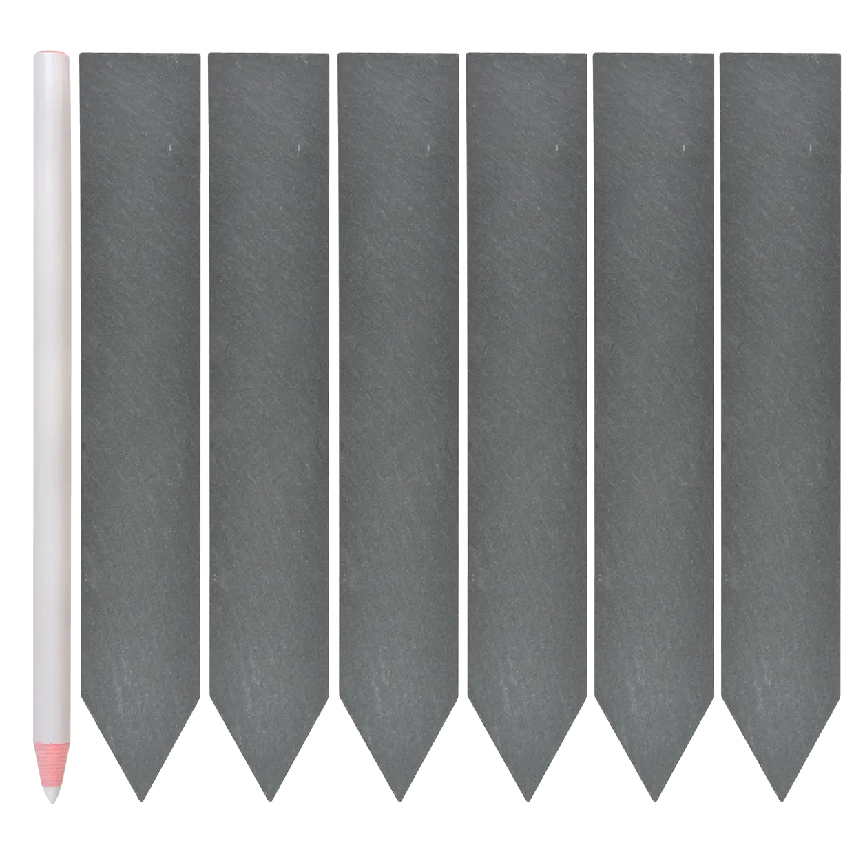 Eleganti akmens marķieri augu nosaukumiem