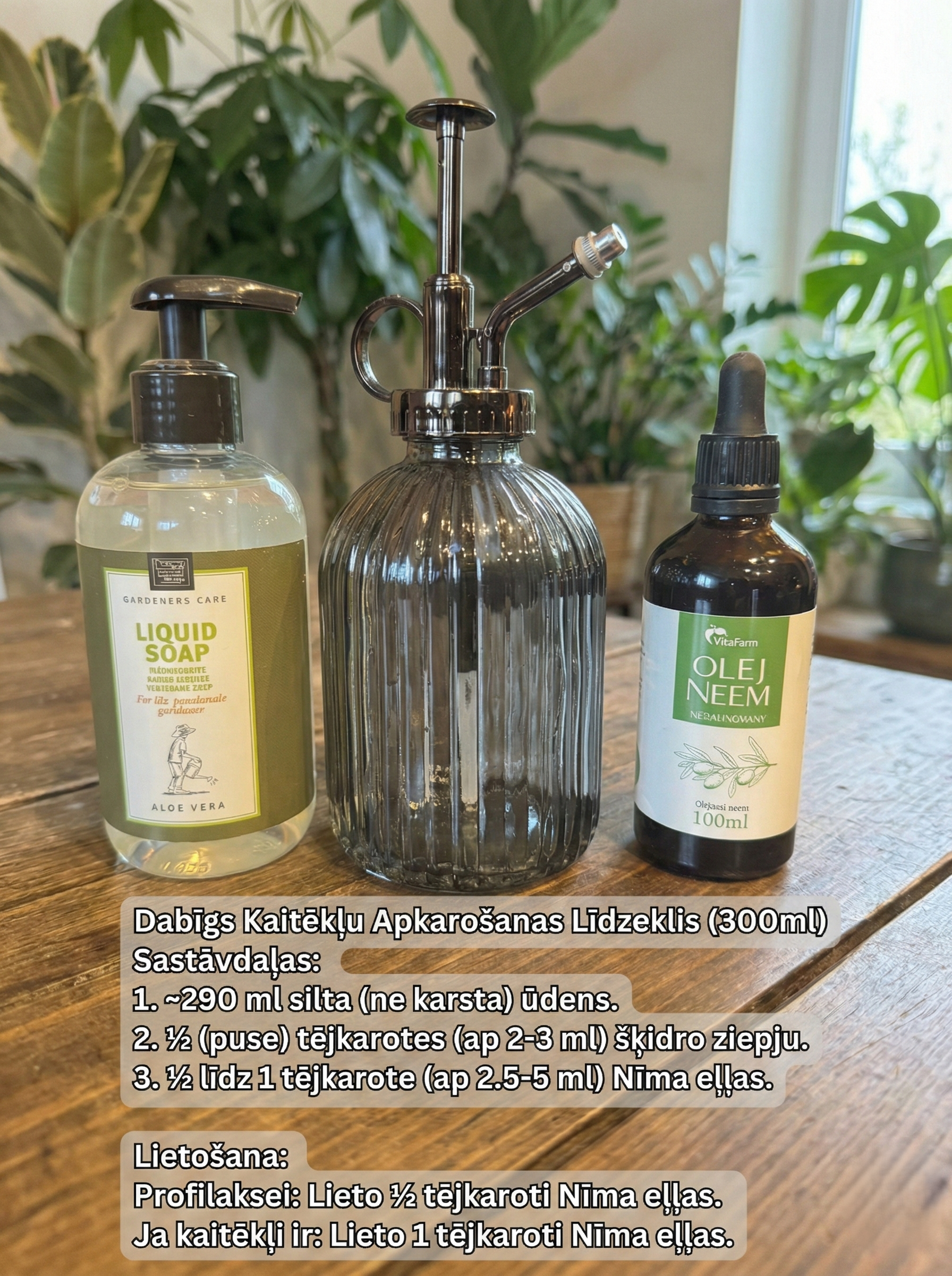 succulents neem oil Buy Neem Oil for Houseplants