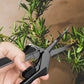 AC Infinity Curved Pruning Shear – Nerūsējošā Tērauda Atzarošanas Šķēres