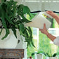 Coubi 2L Watering Can (Anthracite) – A Combination of Style and Practicality for Plant Care