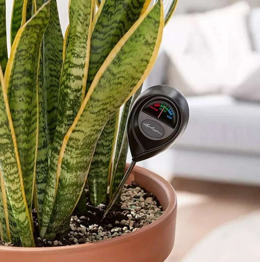 Lechuza mulla niiskusemõõtja