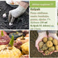 Mēslojums veicina augšanu un apsakņošanos Kelpak 125ml