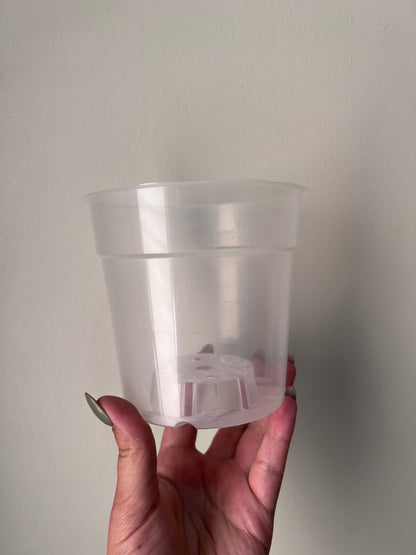 Caurspīdīgie puķu podi - www.augi-plants.lv