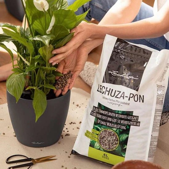 Lechuza Pon - www.augi-plants.lv
