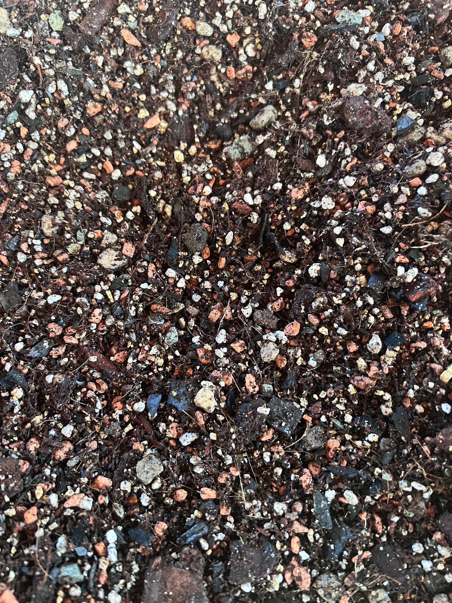 Premium indoor plant soil packaging